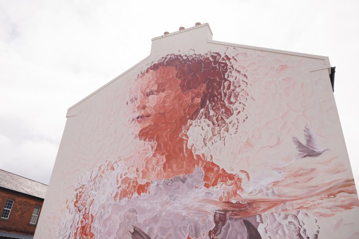 A mural of a woman's face and a bird on a building wall with textured paint effects.