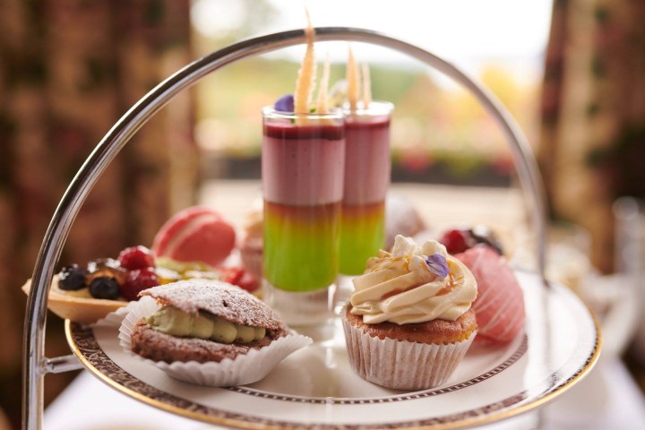 Fancy plate with desserts: cupcakes, layered mousse, and fruit tarts.