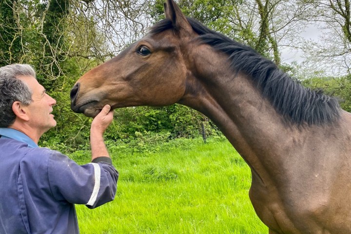 Man gently holding a horse's chin in a grassy field with trees.