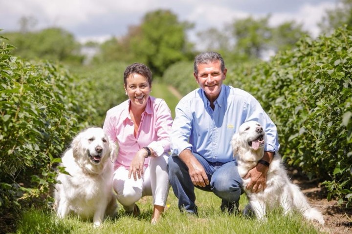 Two people with two white dogs in a lush, green field under a sunny sky.