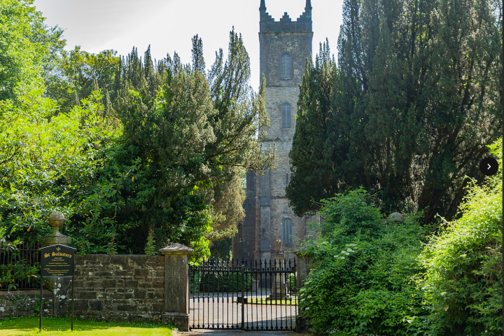 Gothic-style church tower behind tall trees and a wrought iron gate.