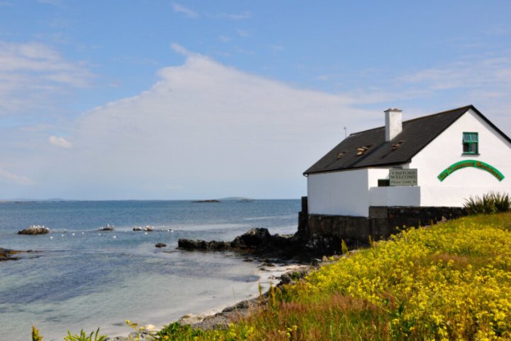 Coastal scene with a white house overlooking the sea and a wildflower meadow in foreground.