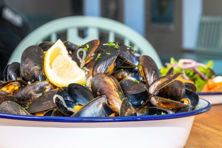 White bowl of steamed mussels with lemon slice garnish on wooden table.