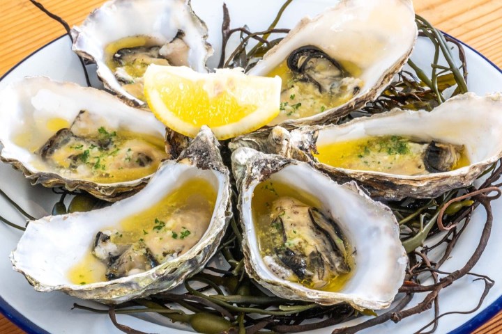 Six grilled oysters with lemon on a plate with seaweed garnish.