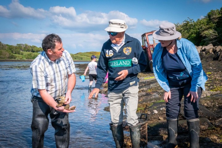 Three people stand in shallow water observing shells, with greenery and a tractor nearby.