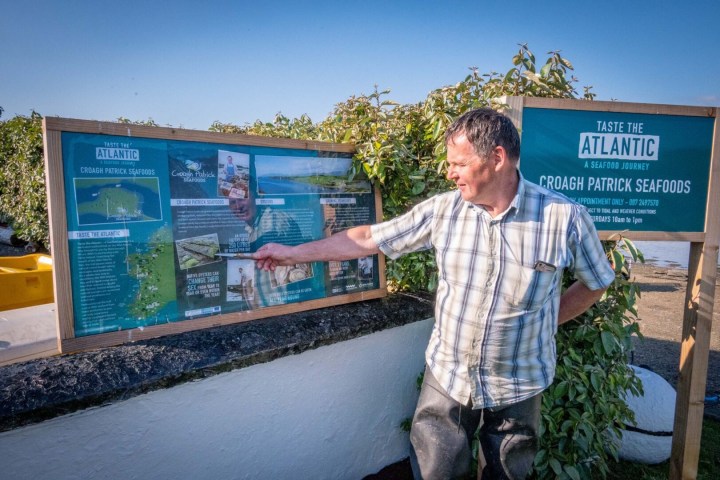 Man in plaid shirt points to informational seafood sign outdoors on a sunny day.