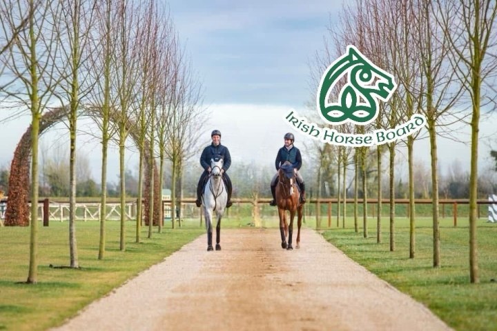 Two riders on a tree-lined path with 'Irish Horse Board' logo in sky.