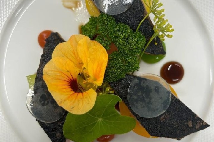 Gourmet dish with dark triangular pieces, yellow flower, parsley, and sauces on a white plate.