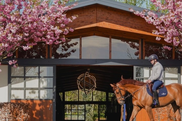 Rider on horse exiting stable with blossoming trees and green lawn.
