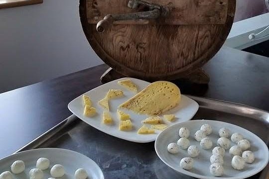 Various cheeses on plates next to a vintage wooden cheese press.