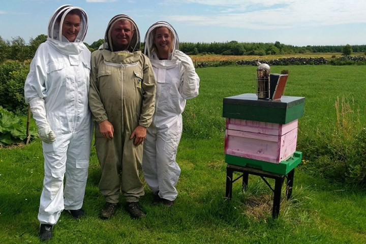 Three people in beekeeping suits beside a colorful beehive on a grassy field.