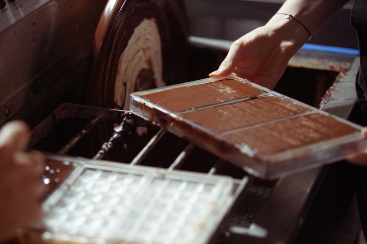 Person holding a tray of chocolate bars near a chocolate grinder machine.