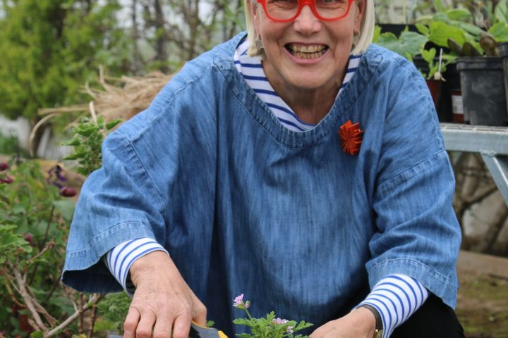 Smiling person with red glasses gardening in a greenhouse, holding pruning shears.