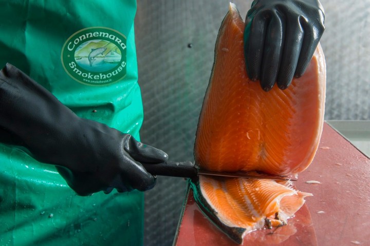 Person in green apron slicing salmon fillet with black gloves.