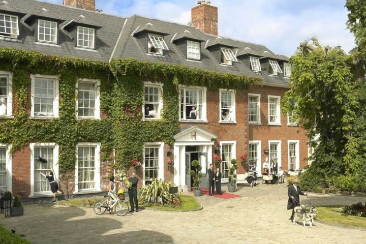 Ivy-covered brick building with people outside; includes a dog and a bicycle.