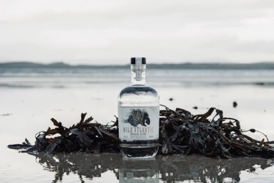Gin bottle on beach with seaweed and ocean backdrop, cloudy sky.