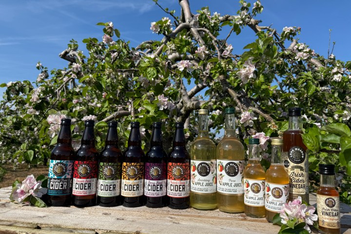 Bottles of cider and apple juice on a wooden table in front of blossoming apple trees.