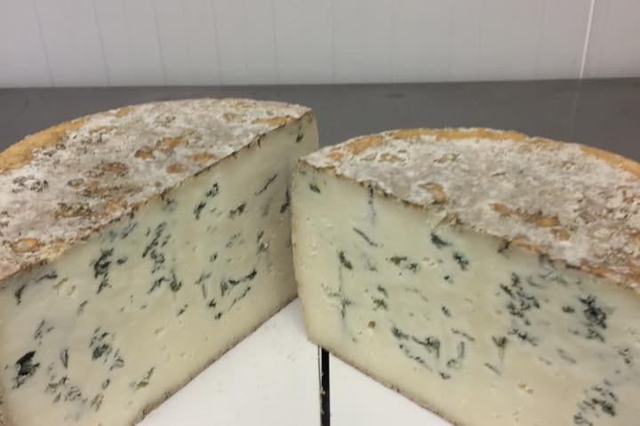 Two wedges of blue cheese with visible mold on a white surface.