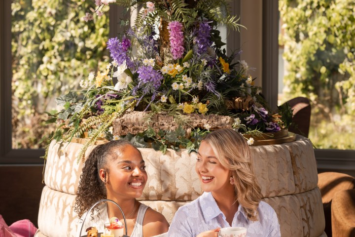 Two women enjoying afternoon tea under a large floral display in a bright room.