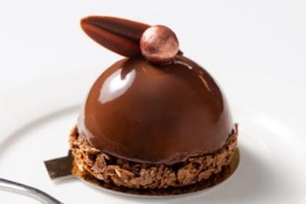 Elegant chocolate mousse dessert with shiny glaze on a white plate.